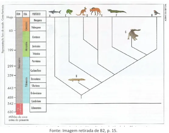 Figura 8 - Evolução dos vertebrados 