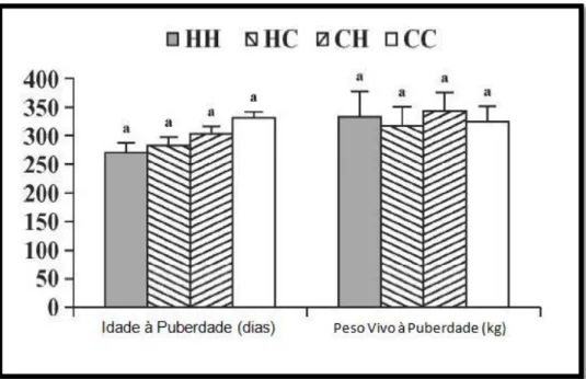 Figura  7.  Idade  (dias)  e  peso  vivo  (kg)  à  puberdade  em  novilhas  desmamadas  aos  112±2  dias  de  idade  e  alimentadas  segundo  4  níveis  alimentares  distintos