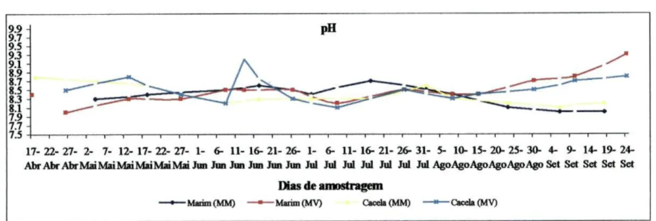 Fig. 12. Variações do  pH na coluna de  água nos  períodos de enchente  maré  morta  (MM) e maré viva (MV)