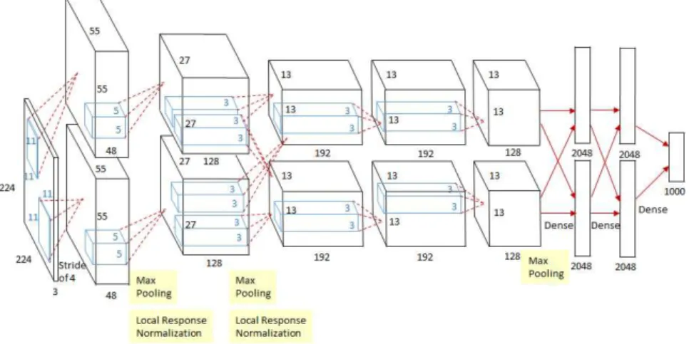 Figure 2.2: Architecture of a Convolutional Neural Nework Image Source: Krizhevsky et al