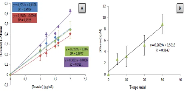 Figura  15.  (A)  Estudo  da  linearidade  do  ensaio  enzimático  da  α-amilase  relativamente  à  concentração  de  proteína  total