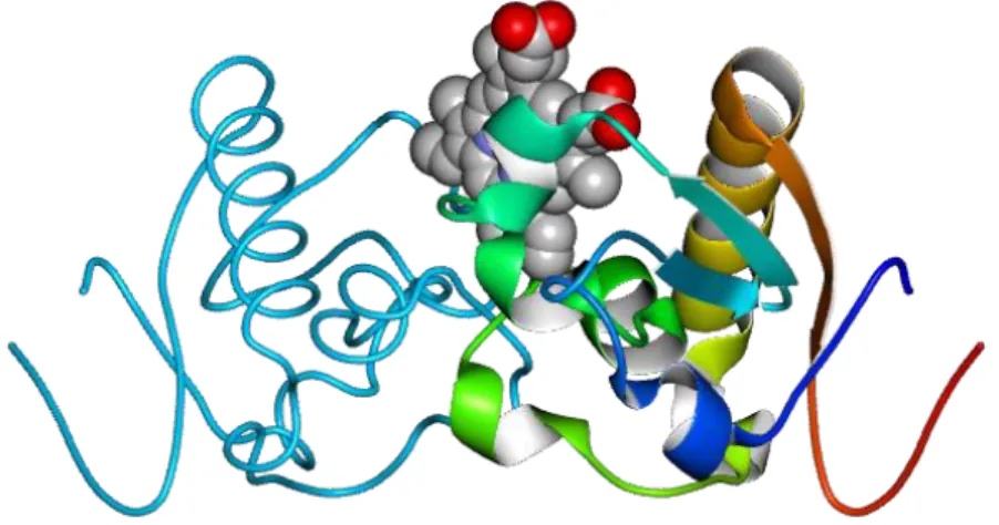 Figura  1.5:  Estrutura  tridimensional  da  PGRMC1  humana,  com  representação  do  grupo  heme  (cinzento) (PDB ID: 4X8Y)