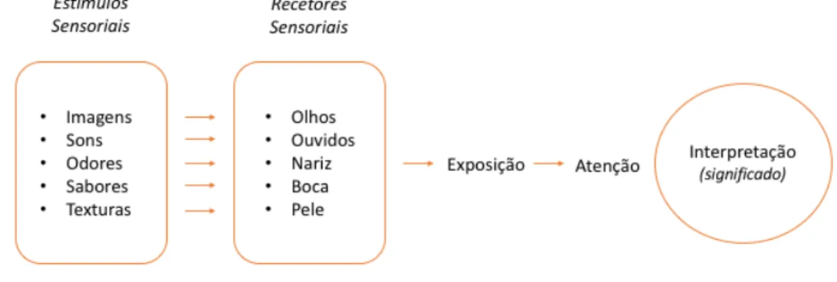 Ilustração   1   -­‐‑   O   processo   percetivo   