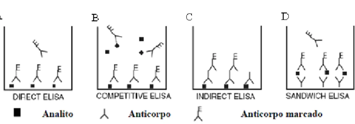 Figura 5. Exemplos de formatos de ELISA. (adaptado de Dias 2009). 