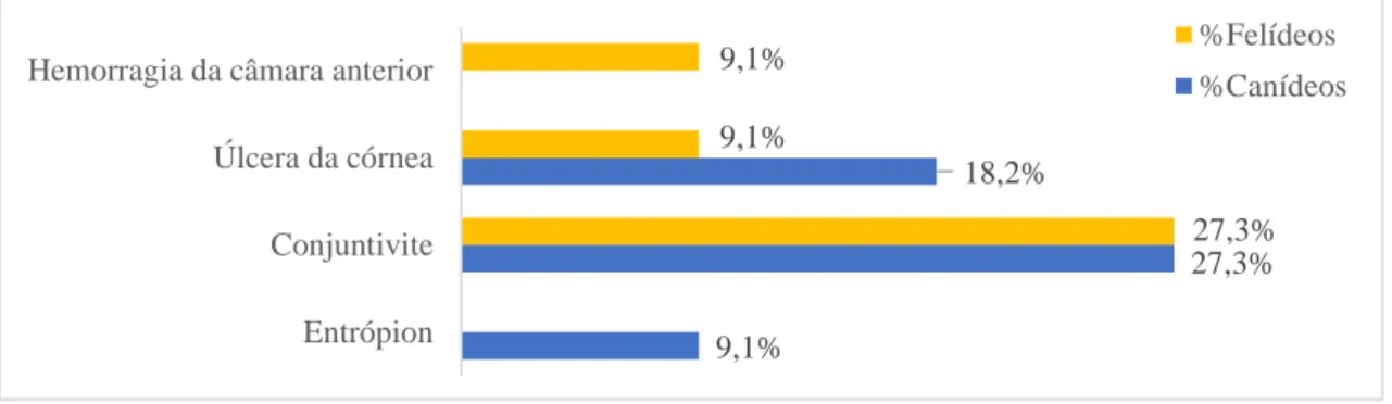 Gráfico 6 - Distribuição dos casos acompanhados na área de oftalmologia por afeção e espécie 