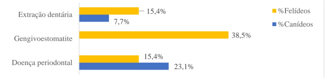 Gráfico 7 - Distribuição dos casos acompanhados na área de estomatologia por afeção e espécie