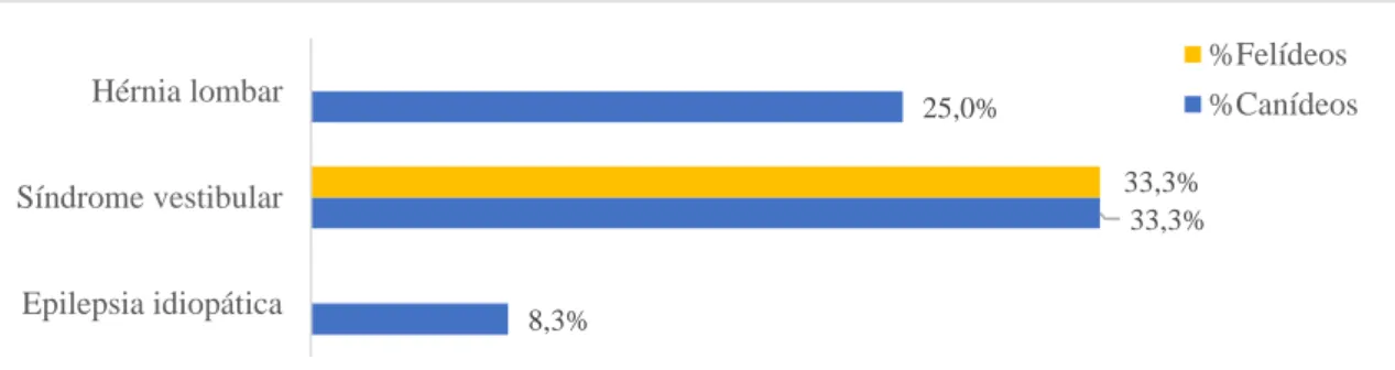 Gráfico 8 - Distribuição dos casos acompanhados na área de neurologia por afeção e espécie