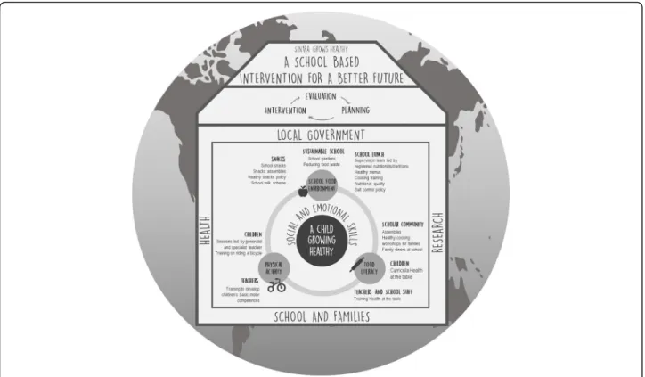 Fig. 1 Sintra Grows Healthy framework of action