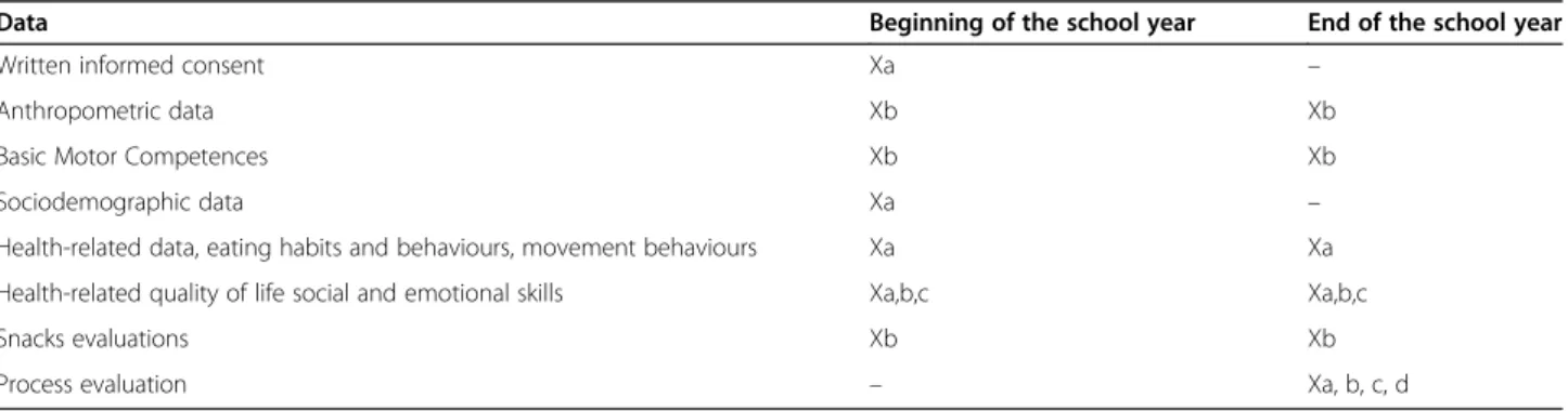 Table 2 Information collected at each moment of data collection