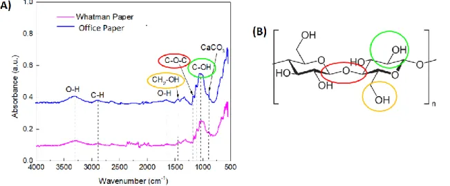 Figure  3.5- Chemical analysis of paper substrates considered. (A) FTIR-ATR  spectra and identification of the  chemical bonds corresponding to the characteristic peaks, (B) Chemical structure of cellulose