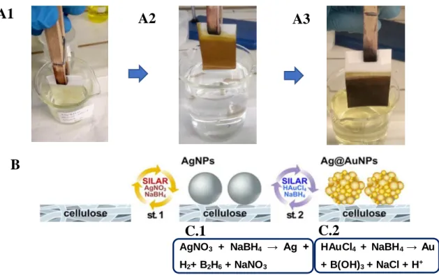 Figure  3.4  The  images  A1,  A2,  A3  correspond  to  what  was  actually  done  in  SILAR-synthesis,  where  the  papers are immersed in the solutions of each SILAR-cycle