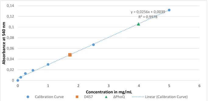 Fig.  8  –  Quantification  of  protein  by  the  biuret  assay.  In  the  graphic  are  represented  the  calibration curve and the points where the sample’s (D457 and ΔphoQ) absorbance intersect