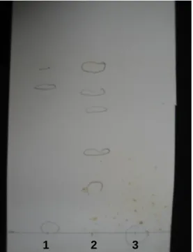 Fig. 9  – TLC plates  eluted with hexane/ethyl acetate  (4/1). Bacteria grown  in  solid M9 minimal medium for 72 hours 37 ºC