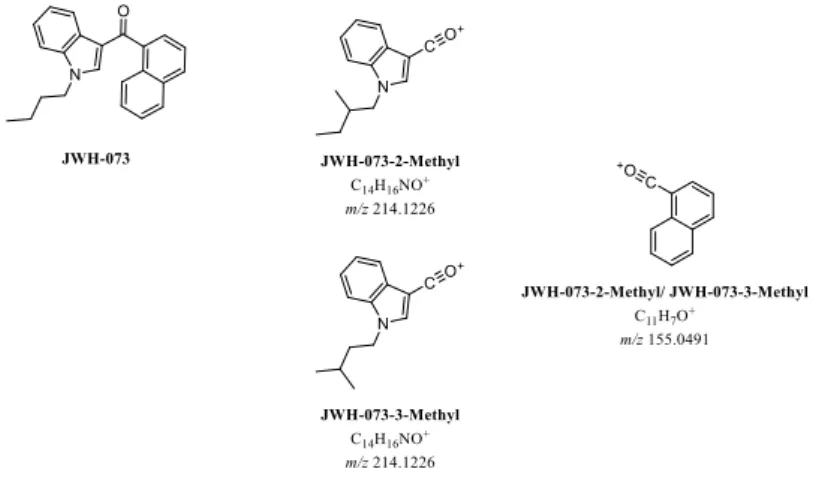 Figure 4.6 | Possible findings for JWH-073-2-Methyl and JWH-073-3-Methyl based on their fragmentation patterns (me- (me-thyl group in the tail)