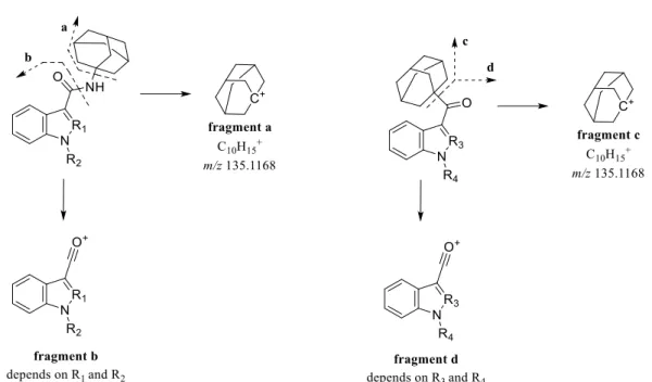 Figure 4.8 | Fragmentation pathways for SCs with adamantly ring: carboxyamide function (scheme A) and carbonyl  function scheme B) (Appendix F)