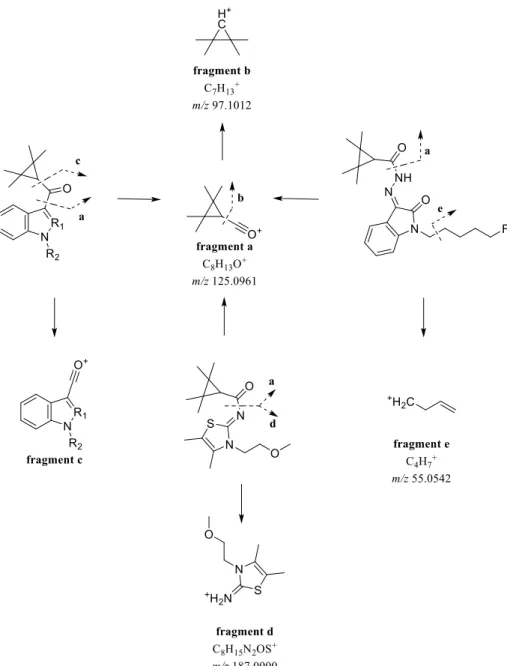 Figure 4.12 | Proposed fragmentation pathways for SCs with a TMCP moiety (Appendix J)