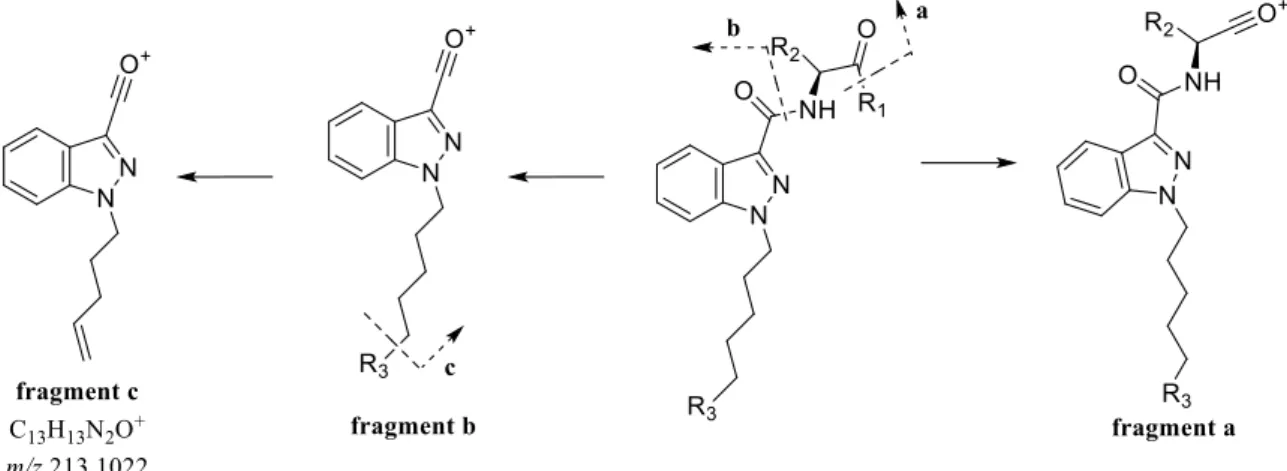 Figure 4.14 | Proposed fragmentation pathways for FUBINACA compounds (Appendix L).  