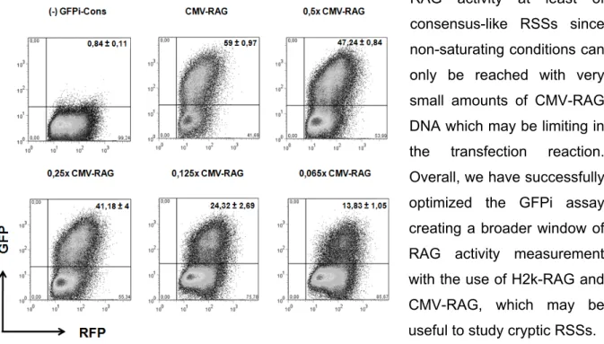 Figure 6. Efficiency of recombination values for  GFPi-Cons upon CMV-RAG plasmid titration in  IVRAs