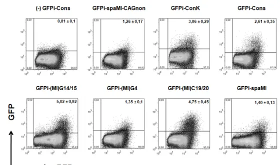 Figure 9. Representative flow cytometry analysis plots of negative control GFPi-Cons IVRA  (upper left) and H2k-RAG 23-RSS GFPi IVRAs