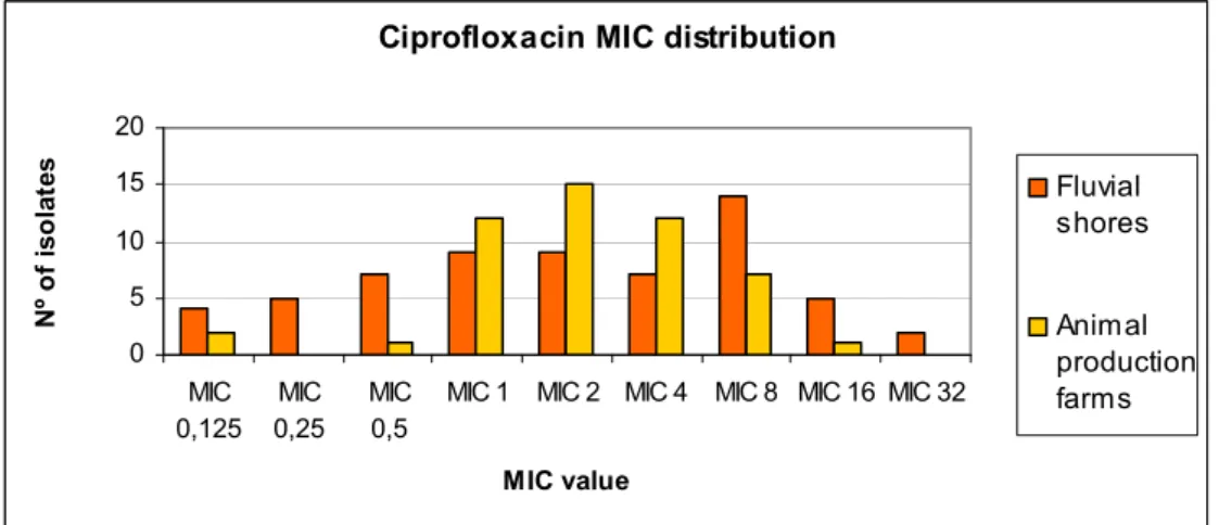 Figure 2. Comparison between fluvial shores and animal production farms  isolates in terms of their ciprofloxacin MIC (expressed in μg/ml) 