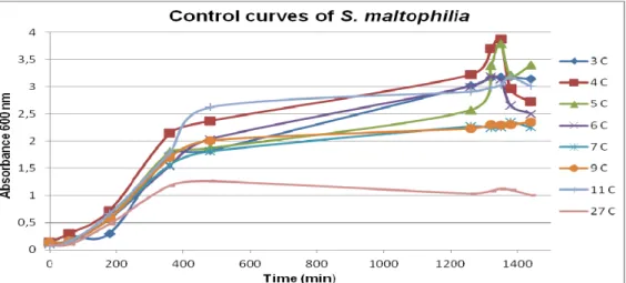 Figure 3. Control growth curves of all eight S. maltophilia isolates. Growth in LB  broth at 37ºC and 120 rpm of agitation 