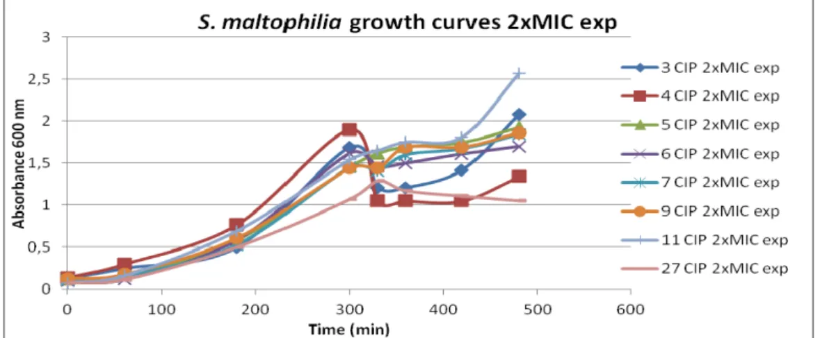 Figure 4. Growth curves from all eight S. maltophilia isolates to which twice their  ciprofloxacin MIC was added in the exponential phase (at 300min of incubation)