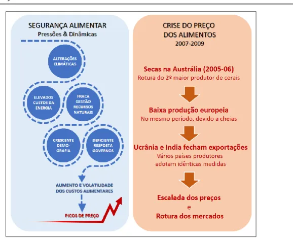 Figura 5 – Pressões e dinâmicas da segurança alimentar: exemplo da crise de 2007-09  Fonte: elaborado a partir de Rütinger, et al