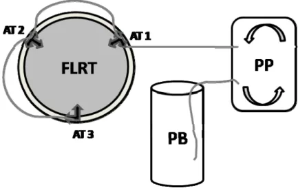 Figure 1. Schematic functioning of feeding treatment 4 used in Experiment 3: 200,000 P