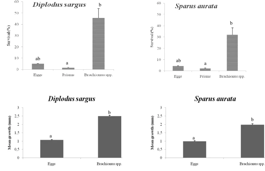 Figure 2. Mean survival (above) and mean growth (below) ± standard error of the mean of Sparus aurata and  Diplodus sargus fish larvae reared from  mouth opening to 15 DAH with different live preys (P