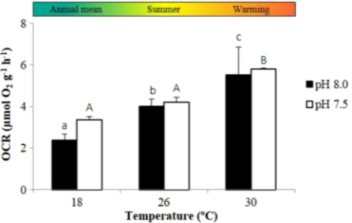 Figure 3:  Impact of ocean warming and acidification on the feed  intake of adult seahorses, H