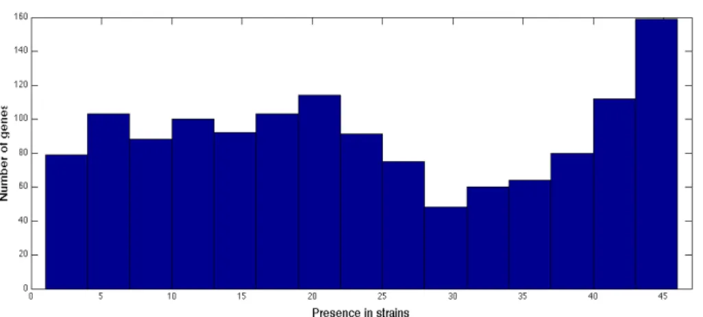 Figure   2   -­‐   Gene   Distribution   after   gene   and   strain   selection.         