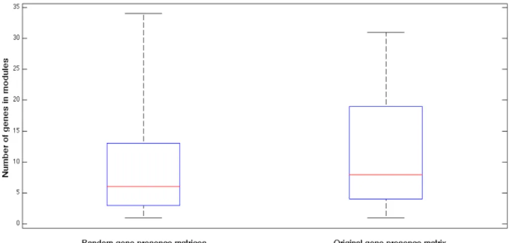 Figure   4   -­‐   Boxplot   of   module   lengths   with   random   and   original   gene   presence   matrices   