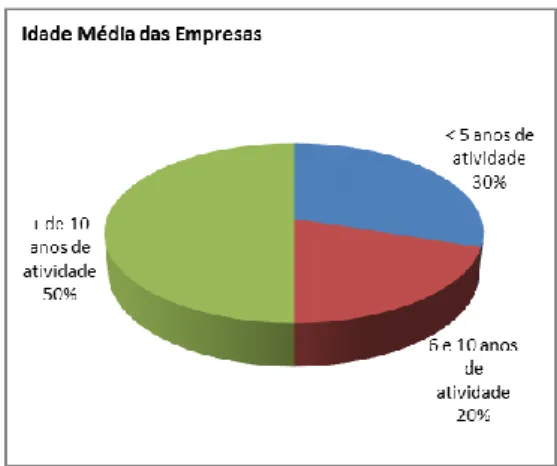 Gráfico 11 – Estrutura da idade média das empresas 