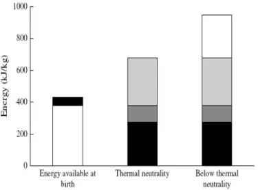 Figura  6  –  Reservas  energéticas  ao  nascimento  e  necessidades  energéticas  em  ambiente  de  termo- termo-neutralidade e inferior à termo-termo-neutralidade de leitão com 1kg de peso vivo (Le Dividich et al., 2005a)