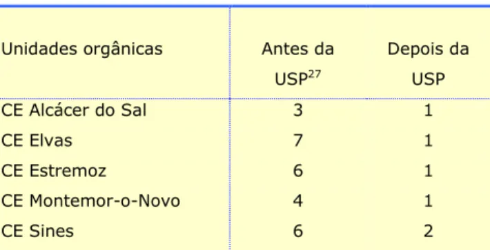 Figura 6 –Recursos Humanos afectos às actividades de suporte 