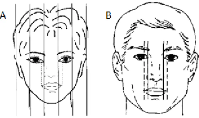 Figura 5 – A – “Regra dos quintos”; B – A distância interpupilar deve corresponder à largura da boca  Fonte: Reis 2010 