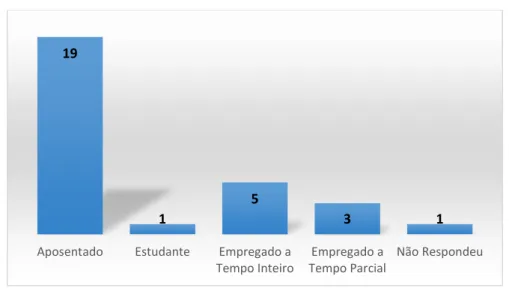 Gráfico 4 - Distribuição dos sujeitos por tipo de ocupação atual 