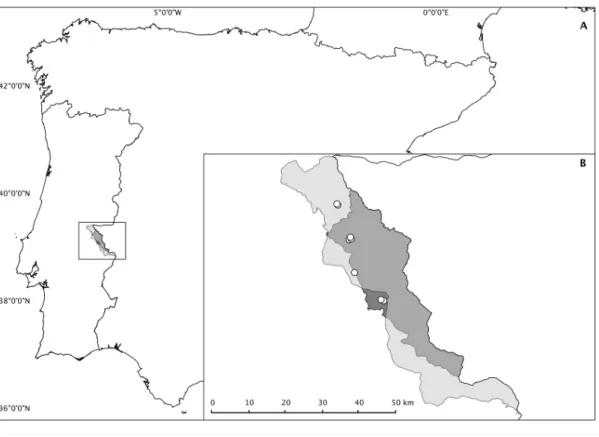 Figure 1. A. Location of the study area in the Iberian Peninsula. B. Map of the study area