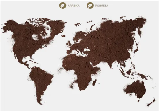 Figura 3- Países Produtores de Café, por Variedade