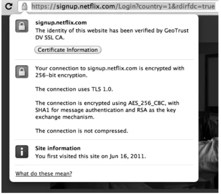 Figure 3.3: Secure submission of credentials in the Sign in process.