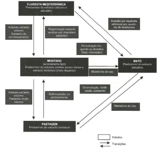 Figura 2 – Esquema de estado e transições, adaptado de Potes (2011).