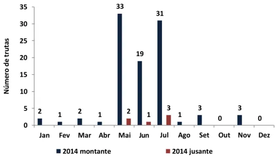 Figura 13 – Contagem do número de trutas registas a utilizar a PPPeixes do Açude-Ponte de Coimbra,  nos sentidos montante e jusante, para 2013