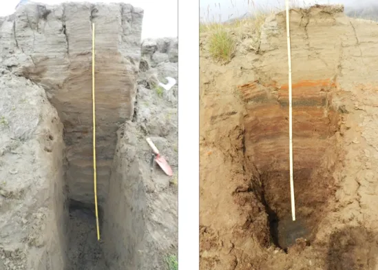 Figure 2. Pictures of the two long sections studied: ADV.20 (left) and ADD.4 (right).