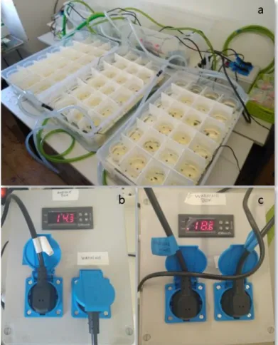 Figura 7 - Sistema de aquecimento utilizado para a experiência de predação (a) e termostatos utilizados  para registo da temperatura ambiente (b) e induzida (c) - fotografias da experiência em Évora