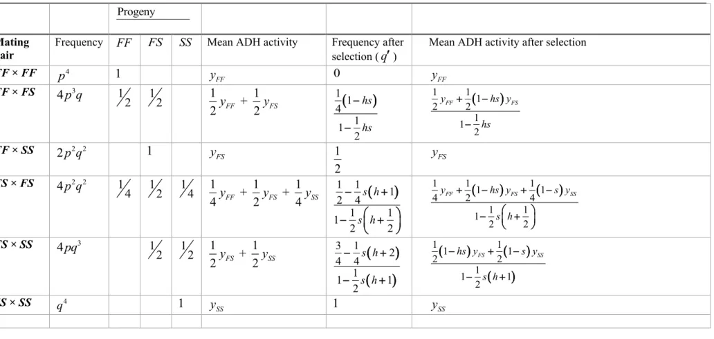Table 1.Expected frequencies and distribution of genotypes in sib-groups, and recursion equations for a locus with two alleles  − Adh F F ( )  and  Adh S S ( ) −  in a 