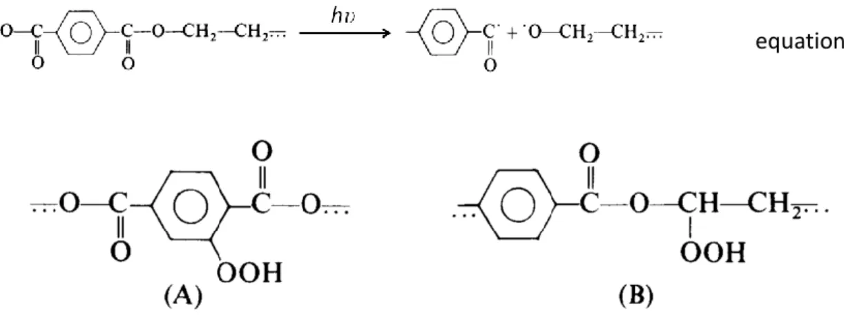 Figure 7. Two different pathways for the Formation of mono and di-hydroxy-substituted compounds