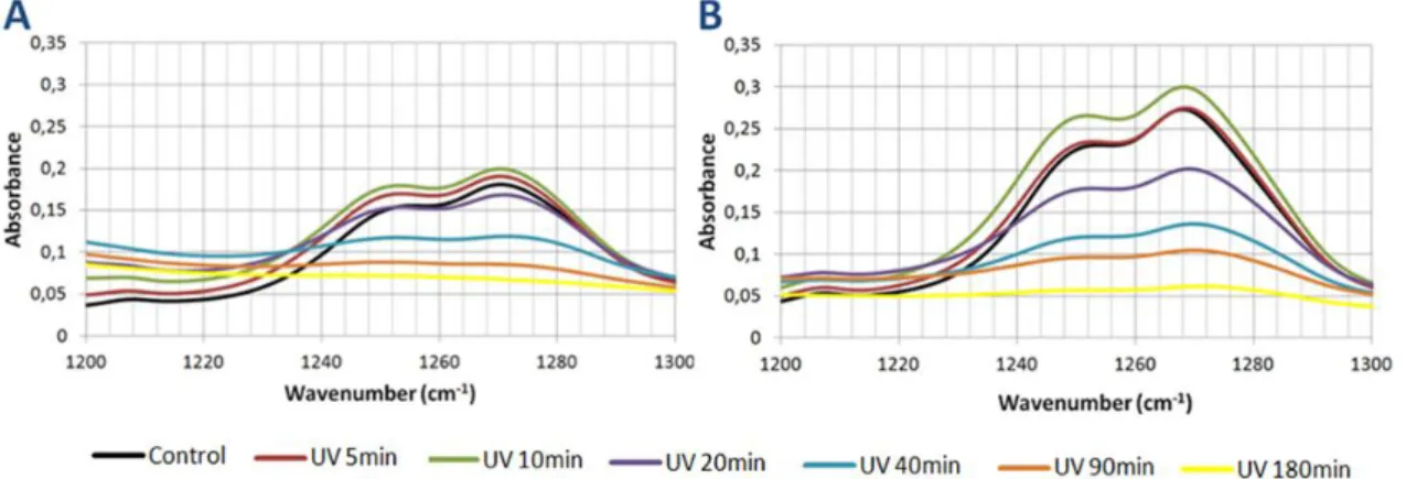 Figure 18. FTIR spectra of the C-O zone after various UV exposure times. A) PA 1000 ; B) PA 300.