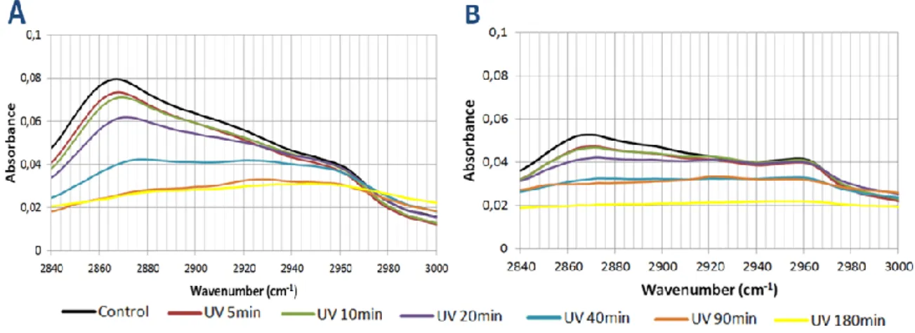Figure 20. FTIR spectra of the C-H zone after various UV exposure times. A) PA 1000 ; B) PA 300.