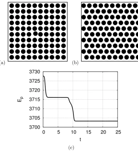Figure 4.1: In (a) the system is at t = 0 and the configuration is a square-lattice arrangement with a small defect