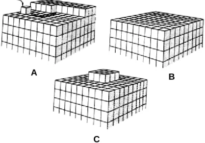 Figura  1.6:  Crescimento  cristalino  de  uma  superfície  sem  imperfeições:  A)  migração  direcionada  para  locais  preferenciais;  B)  camada  completa;  C)  nucleação  à  superfície  (Mullin, 2001)